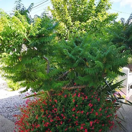 Petite Maison La Rochelle Avec Jardin Et Parking בית נופש לה רושל